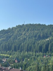 Wall Mural - picturesque view of buildings and trees in beautiful mountains