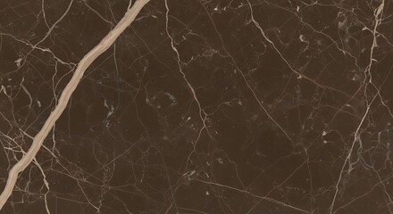 Elegant dark brown marble texture with white veins for luxurious design