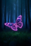 pink lady butterlfy at night