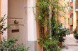 Entrance of residential house with beige door and beautiful green plants, closeup