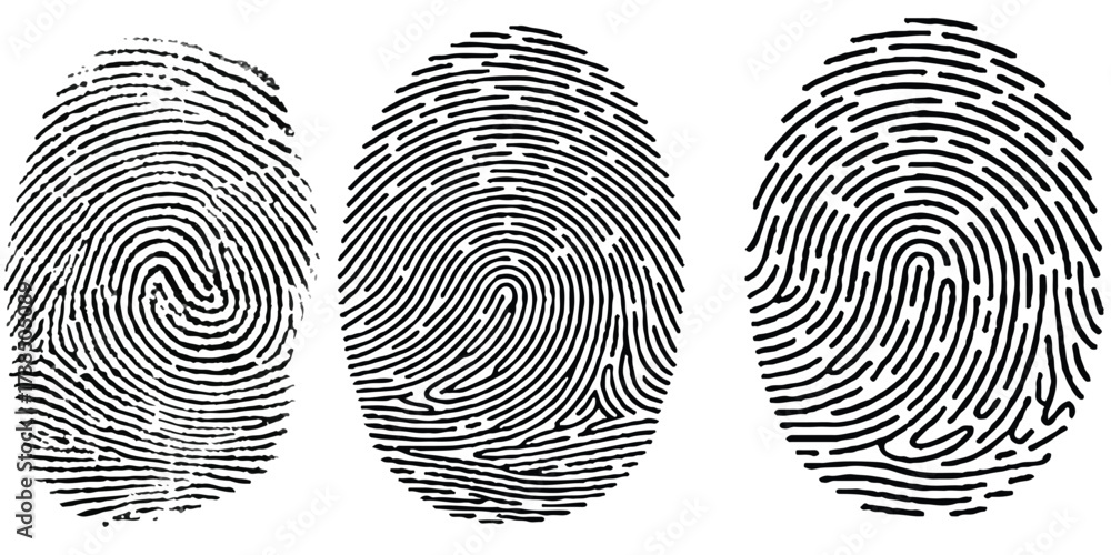 Real fingerprint in white background Engraved fingerprint pattern ...