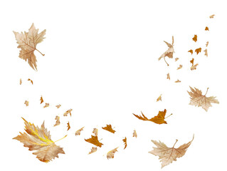 Wall Mural - autumn background from falling leaves - 3d rendering
