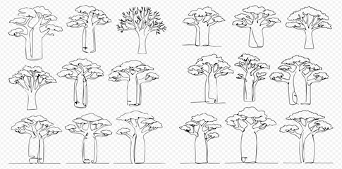 Detailed line art collection of various baobab tree illustrations on a transparent background.