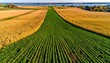 © Reva - Aerial vista reveals contrasting agricultural fields, leading to a distant body of water and under a sky with trees