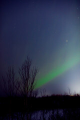 Wall Mural - Aurora borealis, polar lights with Milky Way stars.
