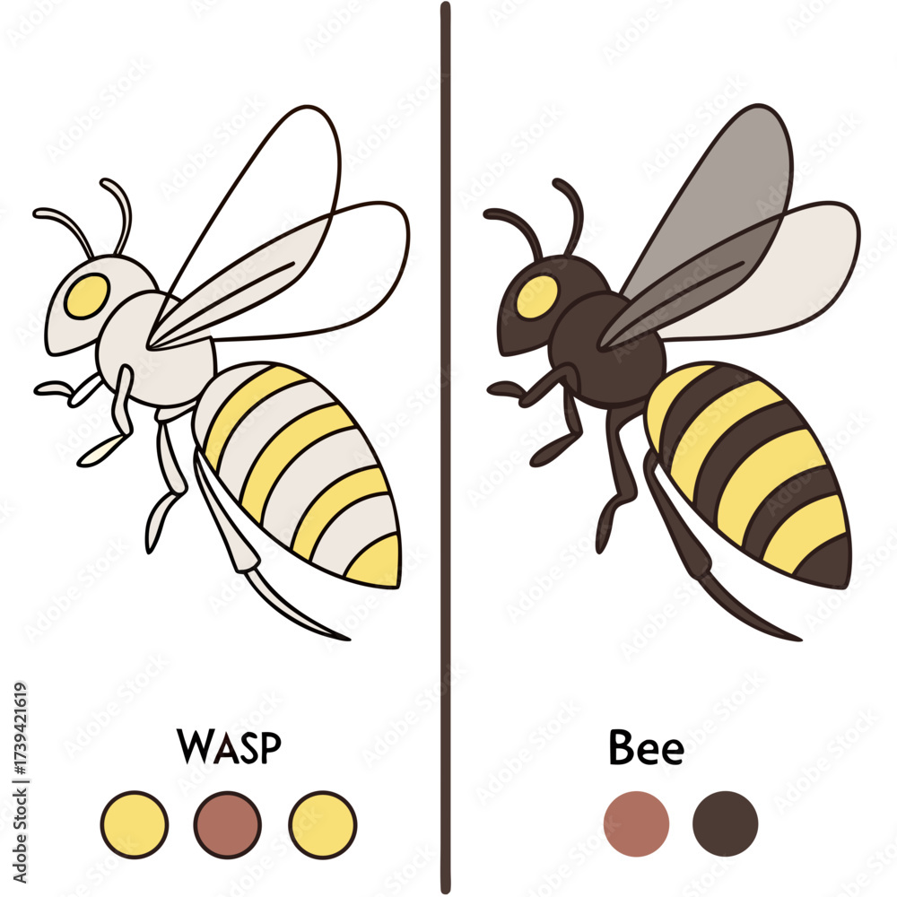 Comparing Two Insects Side by side comparison of a wasp and a bee with color swatches for ...