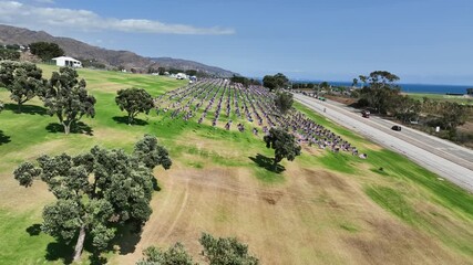 Wall Mural - Aerial view approaching a field full of US flags, 911 memorial in California