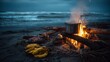 © axalaimaxala - Campfire cooking scene with pot and food by the ocean at dusk.