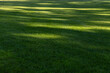 © Viktoriia - A Lush Green Lawn Bathed in Soft, Gentle Shadows - Tranquil Outdoor Scene Perfect for Picnics, Relaxation, or Recreational Activities Under the Sunlight's Embrace