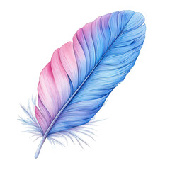 Wall Mural - Blue and pink gradient feather isolated on white background
