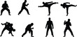 © VectoBloom - Martial arts silhouette vector, fighting poses, karate kicks, taekwondo stances, cad drawing, flat illustration, combat action, symmetrical design