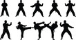 © VectoBloom - Martial arts silhouette vector, karate poses, taekwondo stances, cad drawing, flat illustration, training movements, combat action, symmetrical design