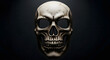 © Вадим Перегудов - Halloween skull with a cracked texture, dark mysterious background for spooky decorations
