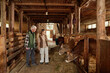 © Seventyfour - Senior Caucasian man and young adult Caucasian woman standing in wooden barn observing brown cows eating hay from troughs, engaging in conversation while tending livestock