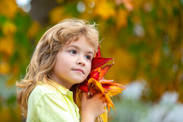 Wall Mural - Cute child portrait on autumn day. Little boy walking in a autumn park full of leaves. Happy kid playing with falling yellow and orange foliage. Dreamy autumn child holding a maple leaf. Autumn kid.