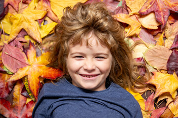 Wall Mural - Blonde kid portrait with autumn leaves. Little boy on a dreamy fall day in the autumn park. Childhood fun with falling maple leaves outdoors. Autumn day with a child. Kids face in autumn fall leaves.