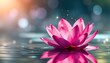 © hubaib - A beautiful vibrant pink lotus flower gently floating on serene water with sparkling light particles and a soft bokeh background.