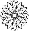 © Jannatul jui - White flower vector illustration on black background with petals and leaves