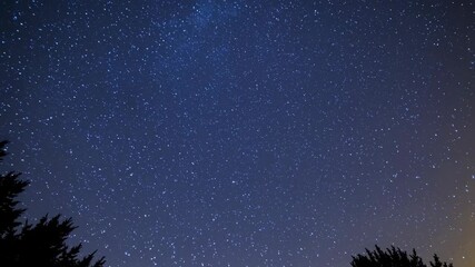 Wall Mural - A mesmerizing night sky filled with stars, captured from a low-angle perspective. Perfect for a calming, nature-themed video backdrop. Live desktop wallpaper.