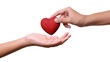 © chathuporn - Woman hands giving a red heart, health care, organ donation, family life insurance, world heart day, world health day, praying concept.