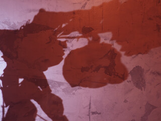  Rose shadow in pink light on bare concrete surface for abstract background.