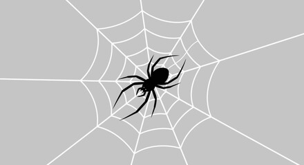 A stylized black spider silhouette centered on a white web against a gray background