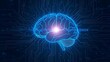 © UQ - Artificial intelligence brain with technology circuit, Futuristic blue digital brain conceptual illustration