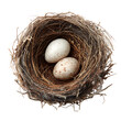 © Nusrat - Bird s nest with two eggs isolated on transparent background