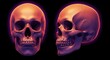 © shammiCRATION - Two human skulls are presented against a black background with purple glow