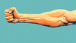 © kora studio - Strong arm with clenched fist, muscular definition and strength against light blue background. This emphasizes power and physical fitness