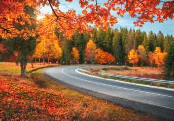 Wall Mural - Beautiful curved road in autumn forest at sunset. Empty mountain roadway, trees with red and orange foliage in Ukraine. Colorful landscape with winding road in the woods in fall. Travel. Road trip