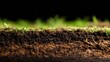 © Tyrah - Detailed cross section of soil layers showcasing rich organic material and grass roots