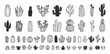 © Yanka - Hand drawn cactus icons. cacti doodle set. Cute sketch cactus collection.