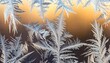 © Ibnu - Delicate frosty patterns dance across a winter window, shimmering with ice crystals in the cold morning light, a beautiful reminder of the season's magic and serene beauty, perfect for winter designs