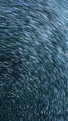 Wall Mural - Vertical Shot Star Trails of Perseids Meteor Shower and Milky Way Galaxy in South Sky Above Mt Whitney Astrophotography Time Lapse in California USA