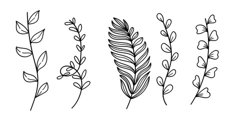 Wall Mural - Hand drawn minimalist botanical abstract wildflower line art collection. Vector illustration.