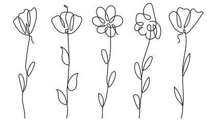 Poster - hand drawn continuous line art drawing flowers botanical elements vector illustration