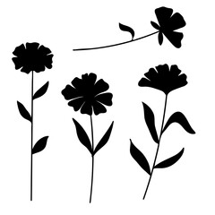 Wall Mural - Silhouette Flowers Collection Set Botanical Decoration Element. Vector Illustration