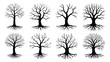 © Vector Art - Set of eight detailed black and white tree silhouettes with exposed roots vector illustration scalable eps silhouette vector illustration white background