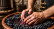 © Hanan - Closeup of a winemakers hands crushing grapes in a vat, the juice flowing, with a wine press and bottles in the background, showcasing the traditional winemaking process