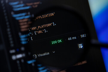 Dark screen displays programming code featuring a 200 OK status and response time, representing successful API execution and modern software engineering