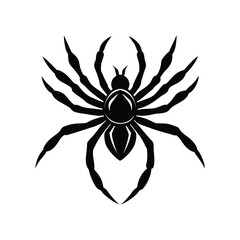 Spider With Eight Legs And Rounded Body Illustration