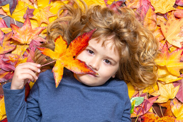 Wall Mural - Blonde kid portrait with autumn leaves. Little boy on a dreamy fall day in the autumn park. Childhood fun with falling maple leaves outdoors. Autumn day with a child. Kids face in autumn fall leaves.