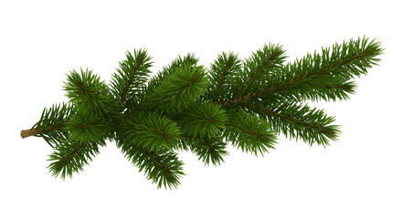 Festive evergreen fir branch isolated on white for your holiday cards and invitations - a Christmas season symbol