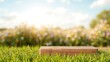© Chavanlak - A wooden platform sits on vibrant green grass, presenting a natural stage with a blurred meadow of wildflowers blossoming under a bright sunny sky background.
