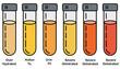 © graphixecho - urine color hydration level chart illustration