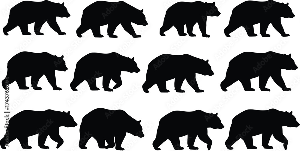 Bear walk cycle silhouette vector set, animal motion sequence, black ...