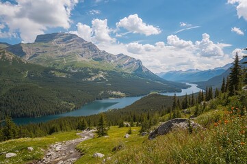 Wall Mural - Summer scenery of mountainous terrain