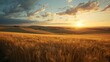 © Alexander - 🌾 Sunset Over Rolling Wheat Fields 🌅🏞️