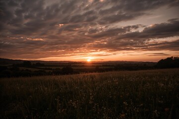 Wall Mural - breathtaking sunset over a shadowed meadow with vibrant sky hues